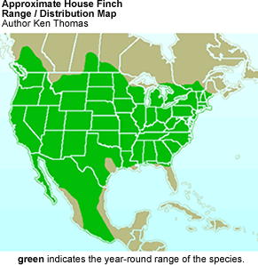 House Finch
Distribution Map
